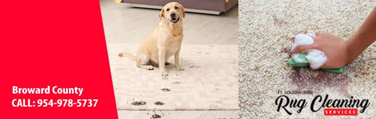 Pet Stain Removal Services
