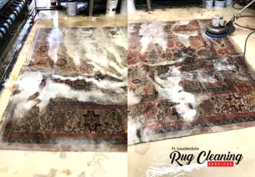 Expert Area Rug Cleaning by Hand