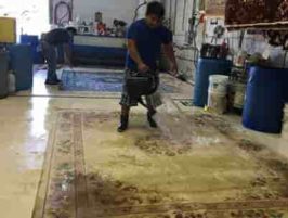 Cleaning Area Rug