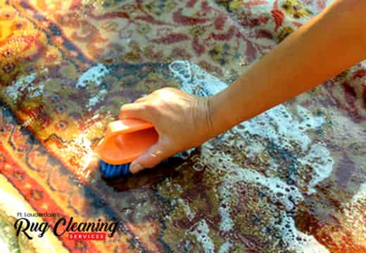 Oriental Rugs cleaning