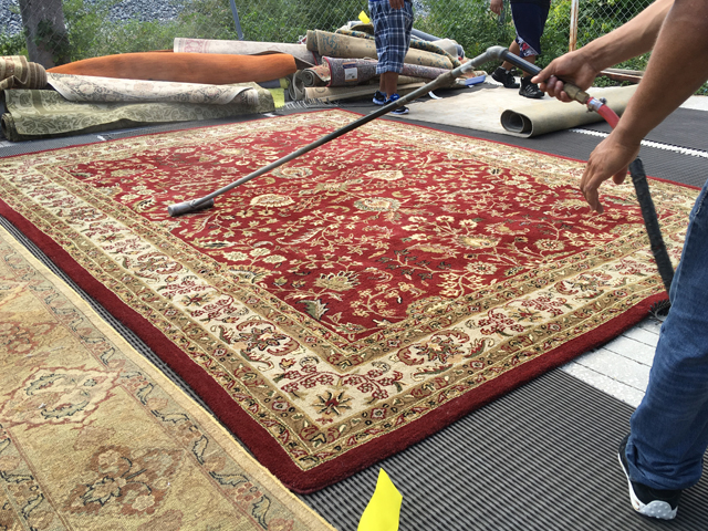 Persian Rug Cleaning Service