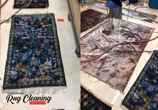 Oriental area rug cleaning Service