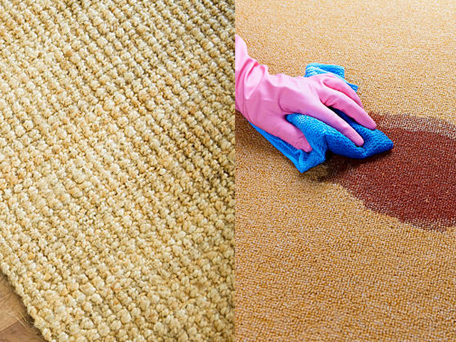 Sisal Rug Cleaning Service