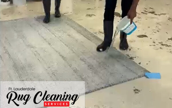 Sisal Rug Cleaning