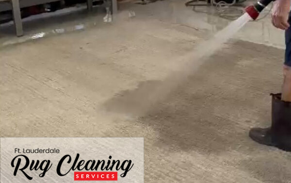 Expert Antique Rug Cleaning
