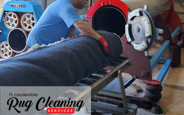 Pet Odor and Stain Removal